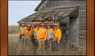 pheasant photo